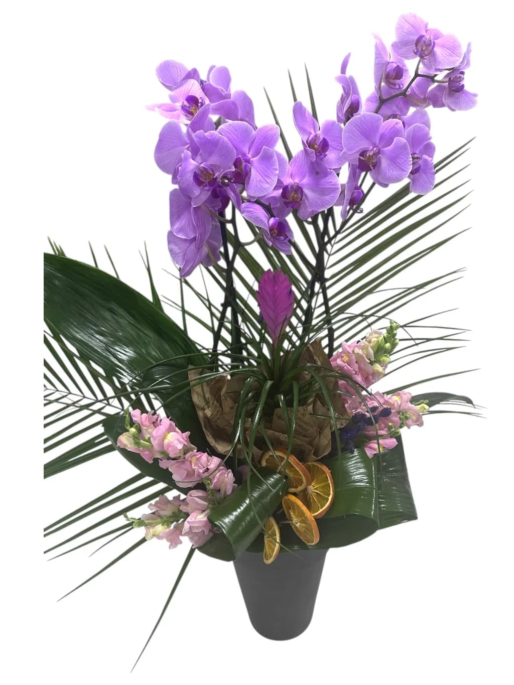 The feast of purple