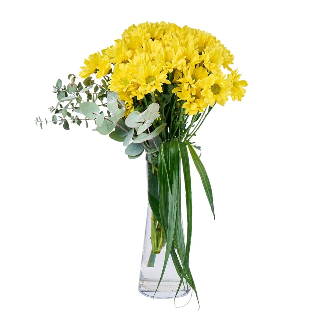 My Yellow Papatya